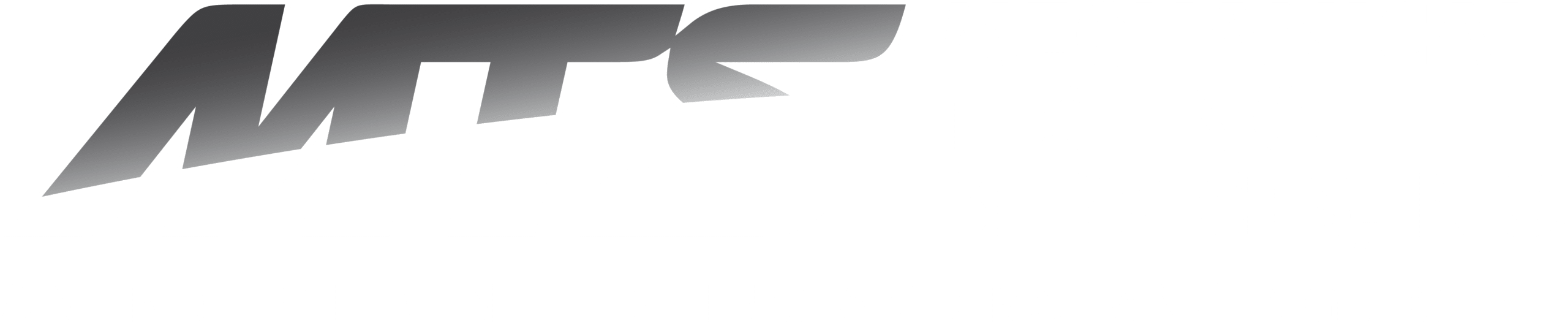Mechanical Testing Services, Inc.